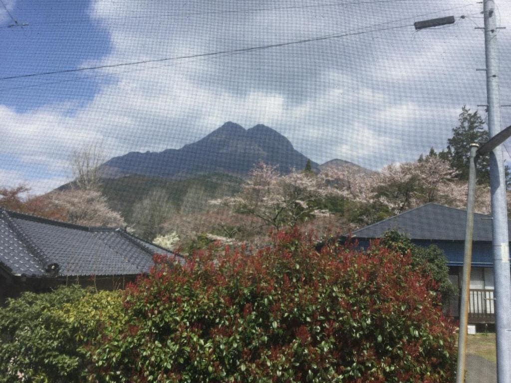 湯布院月灯り - View 3