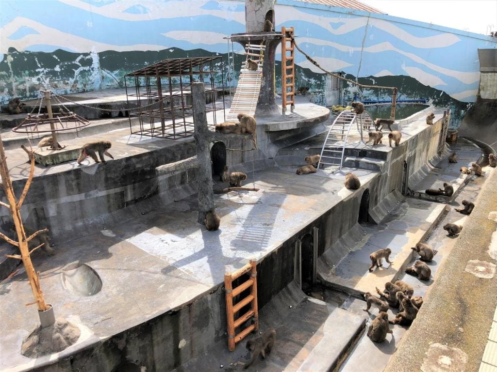 Hotel Tetora Yunokawaonsen - Vacation STAY 30586v - View 4