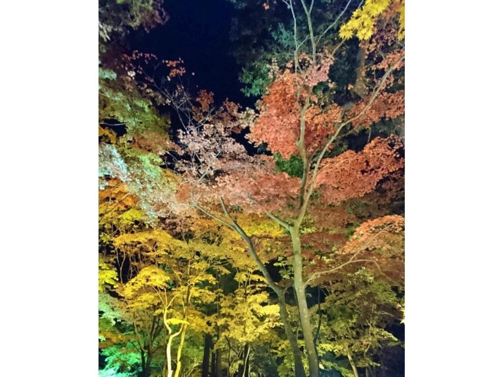 Hotel Tetora Yunokawaonsen - Vacation STAY 30730v - View 7