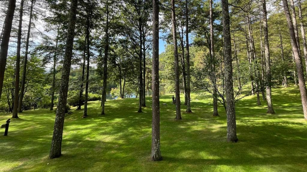Tokyu Vacations Tateshina - View 5