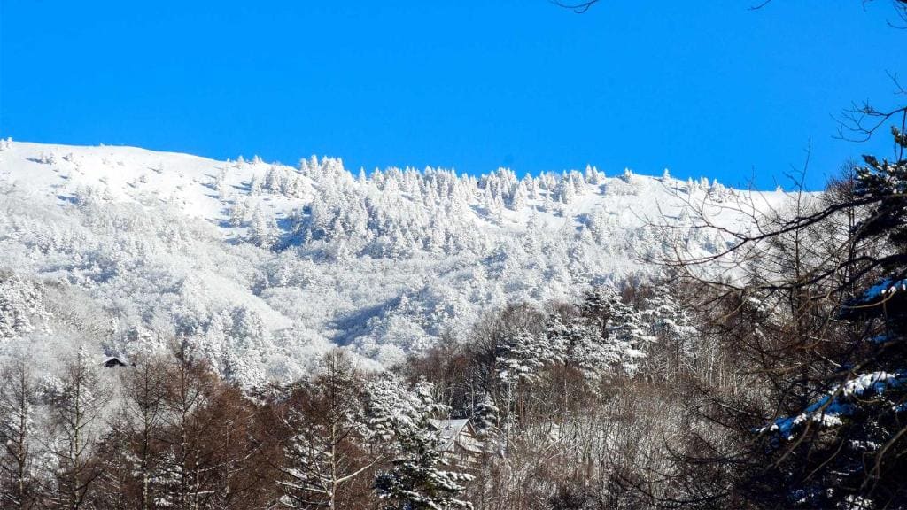 Tokyu Vacations Tateshina - View 4