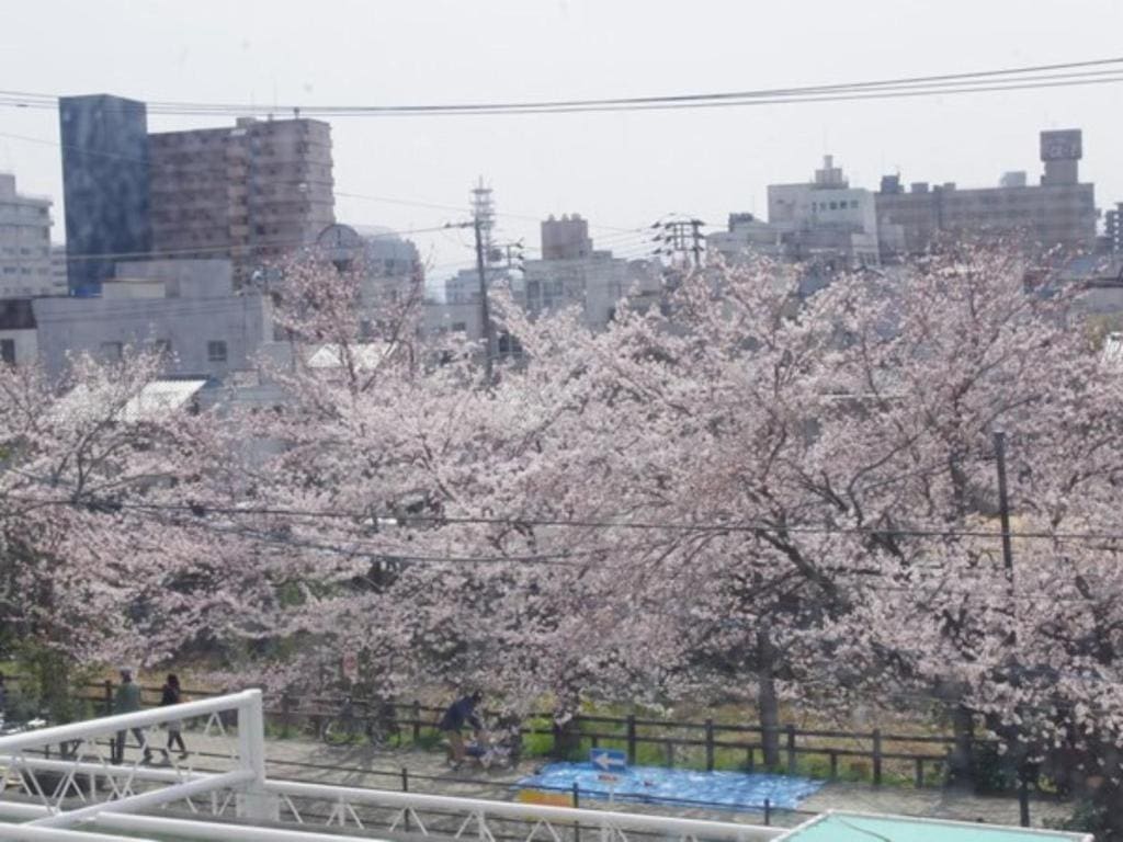 Tottori City Hotel / Vacation STAY 81358 - View 5