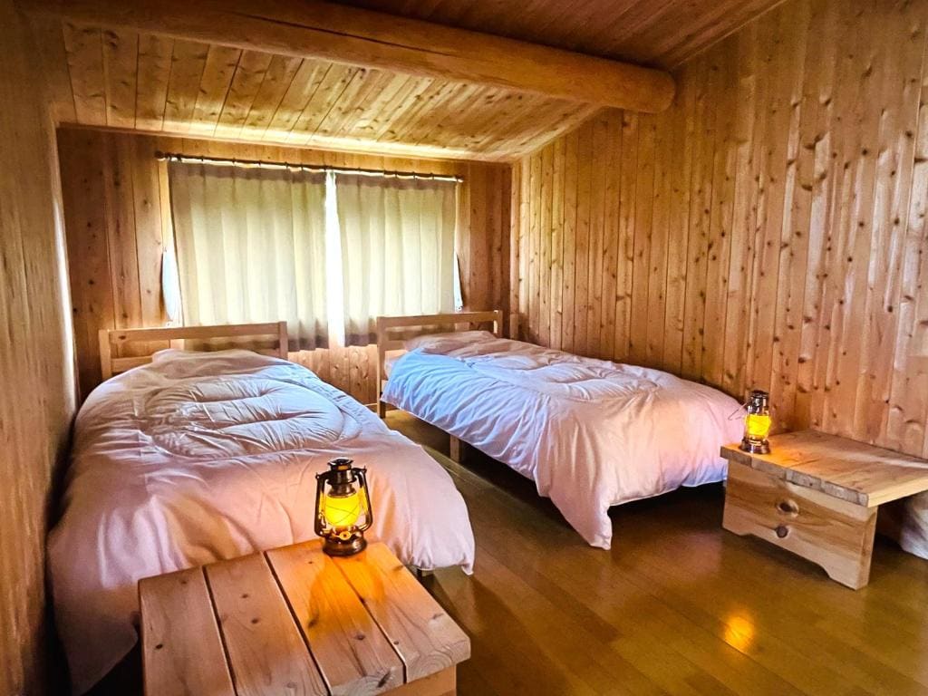 wood house - View 6