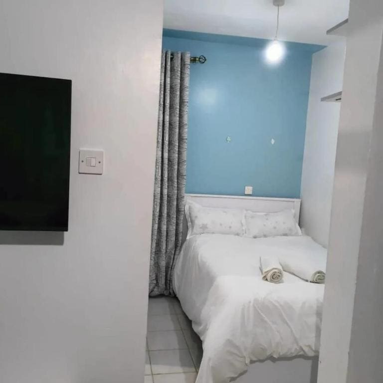 Fancy BnB Along Ngong Road - View 4