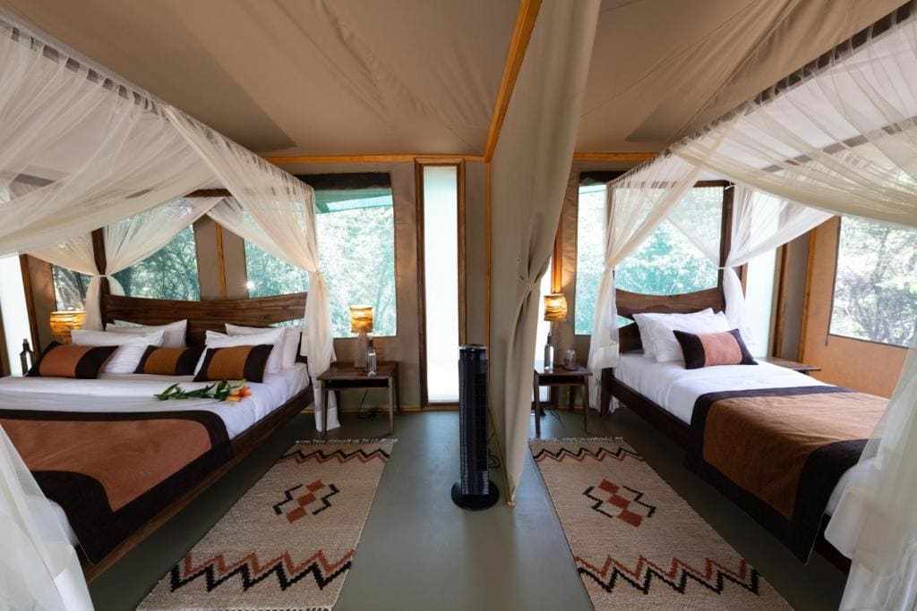 Soroi Luxury Migration Camp - View 2