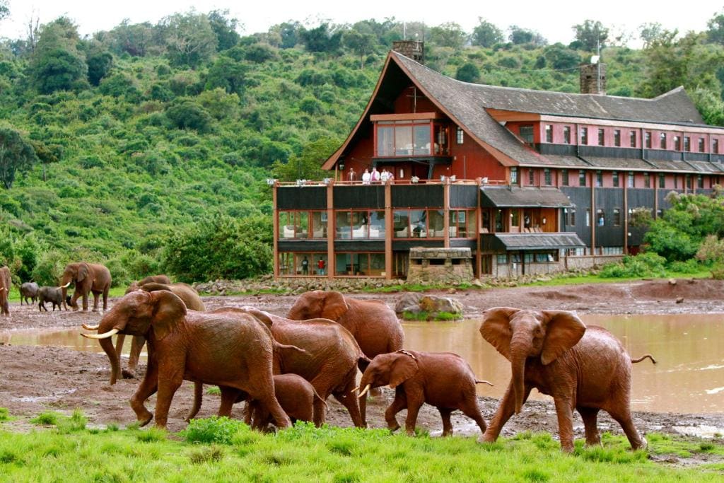 The Ark Lodge - Main view