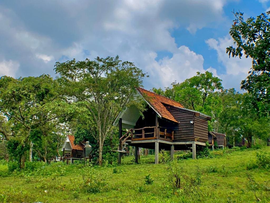 Nature Lodge - View 6