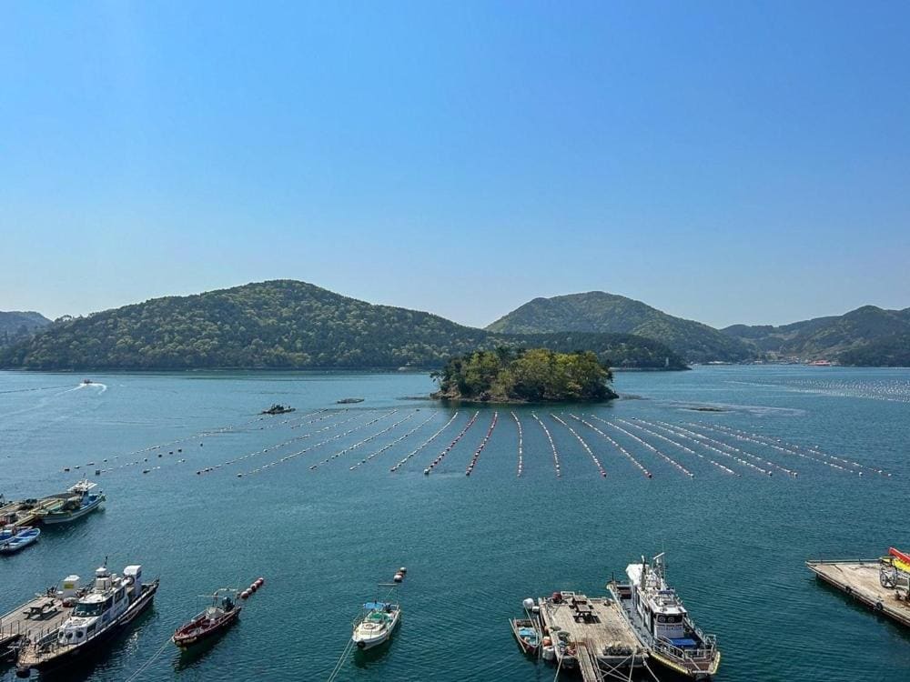 Tongyoung Martis Beach Pension - View 4