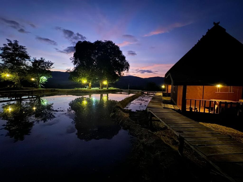 ເຂົ້າໜຽວຟາມສະເຕ-Kao Niaw Farmstay - View 5