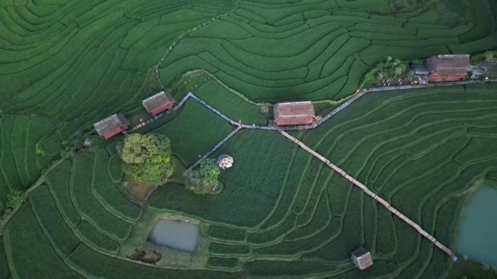 ເຂົ້າໜຽວຟາມສະເຕ-Kao Niaw Farmstay - View 4