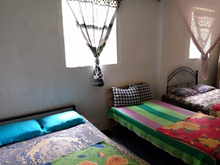Rainbow Hostel - View 7