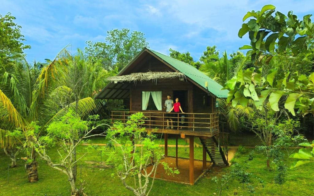 Chena Huts Eco Resort - Main view