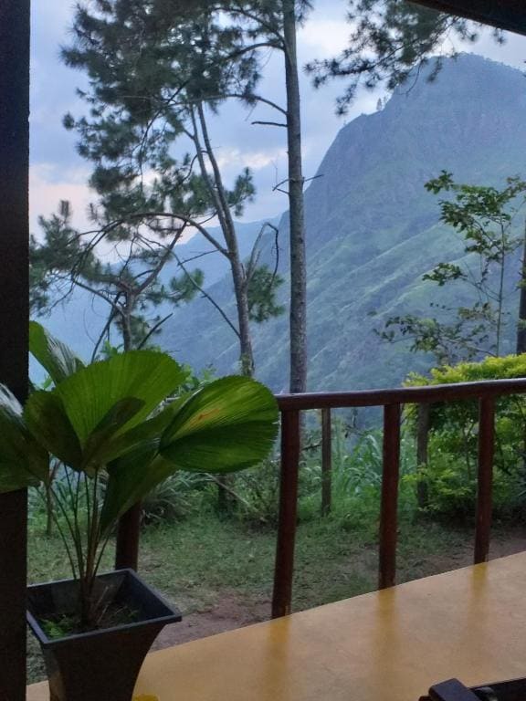 Dream view - View 6