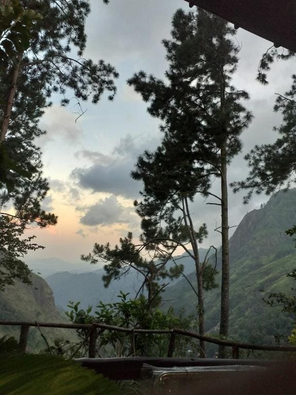 Dream view - View 3