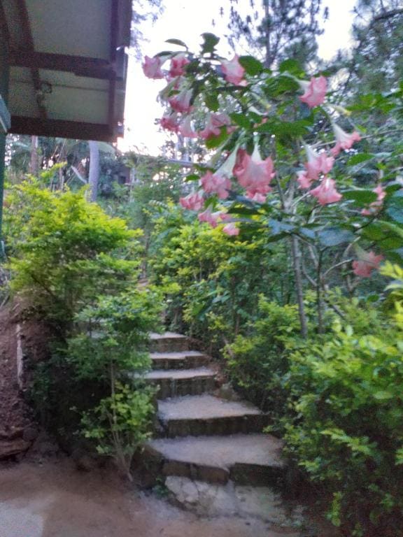 Dream view - View 4