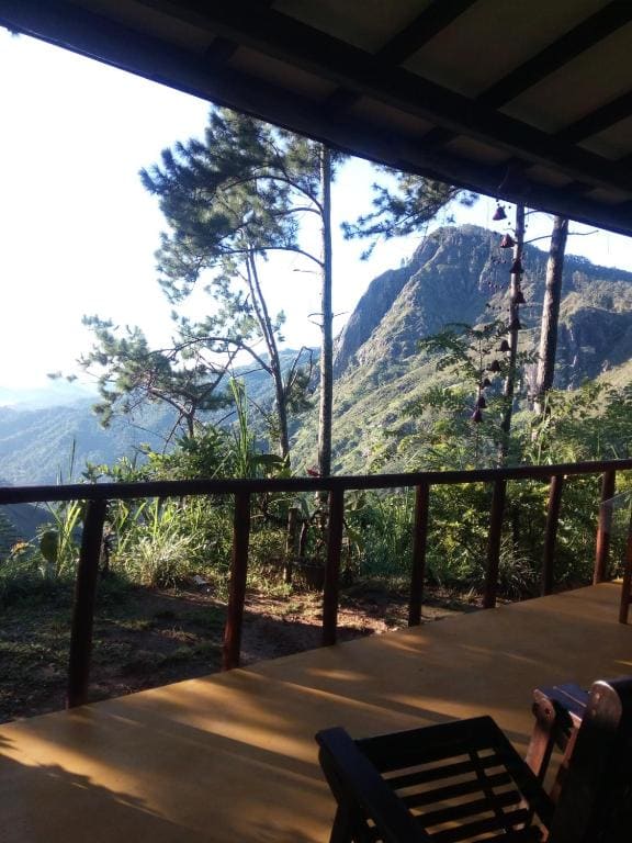 Dream view - Main view