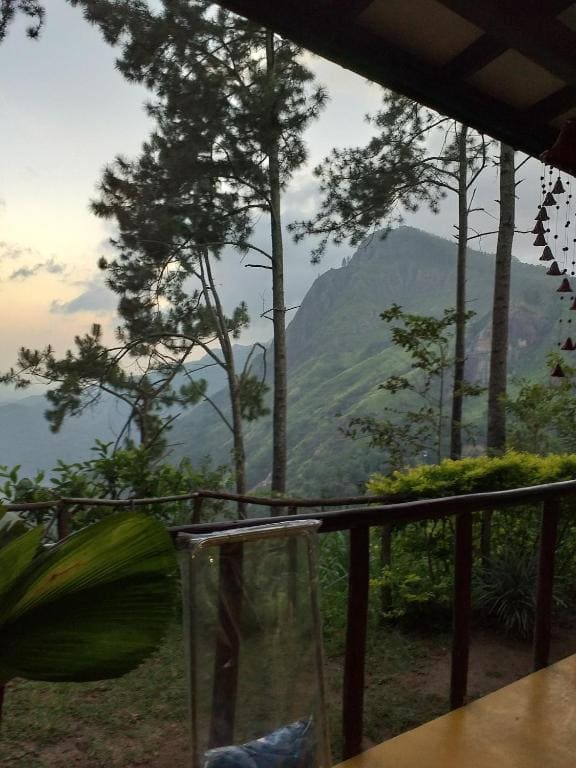 Dream view - View 5