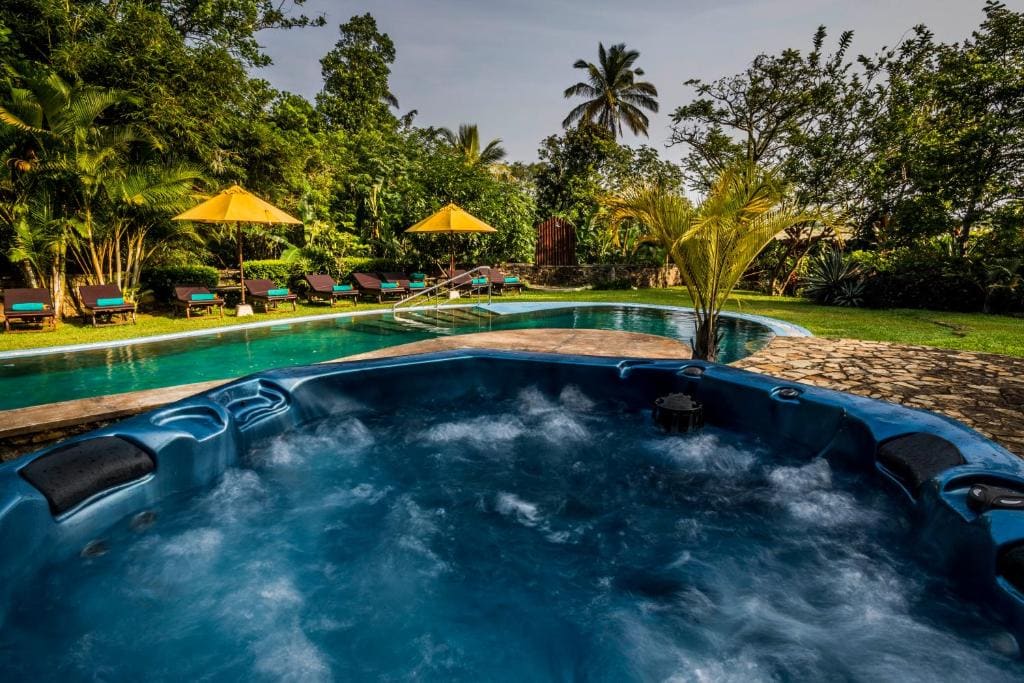 Yasmin Hill Longevity Oasis - View 3