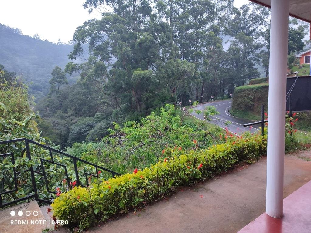 GREENISH INN - View 2