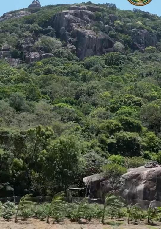 කැලෑව Jungle Eco Resort - View 3