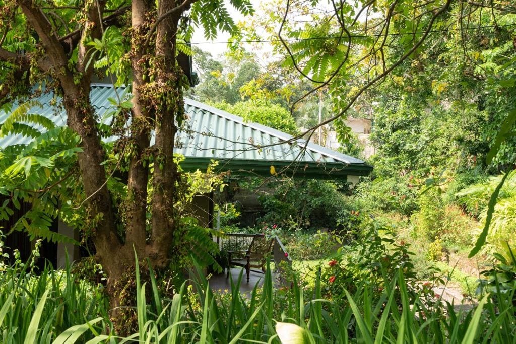 Kandy Tree Tops - View 3