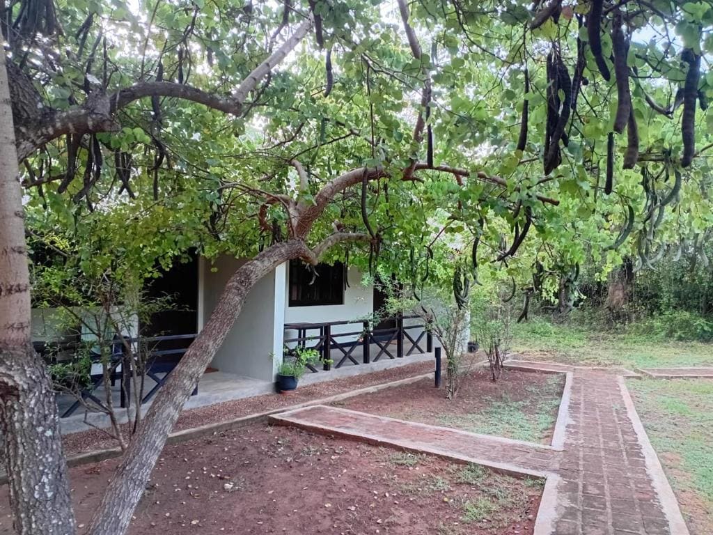 Kemin Escapes - Yala - Main view
