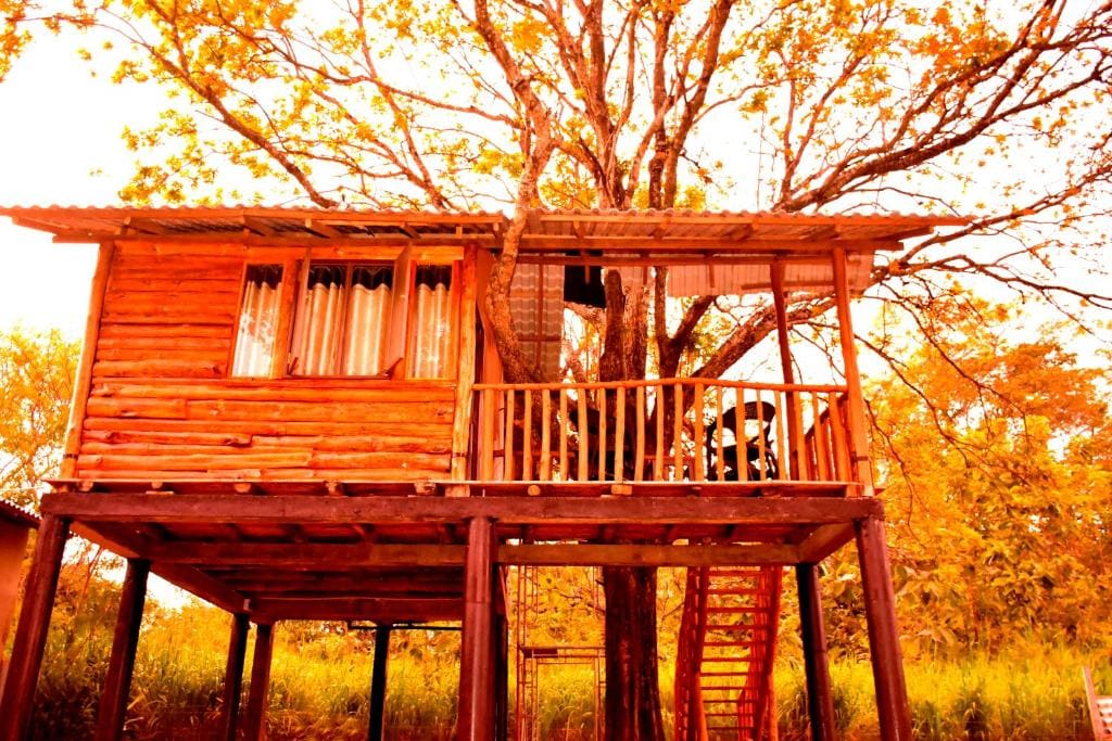 La Casa Safari Cottages & TREE HOUSE - View 6