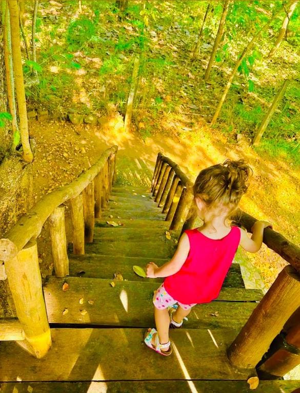 La Casa Safari Cottages & TREE HOUSE - View 4