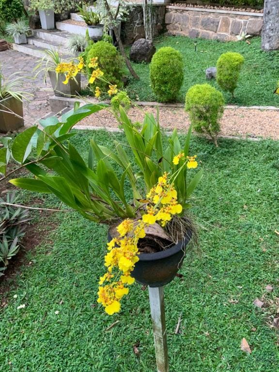 Lali Villa & Fruit Garden - View 3