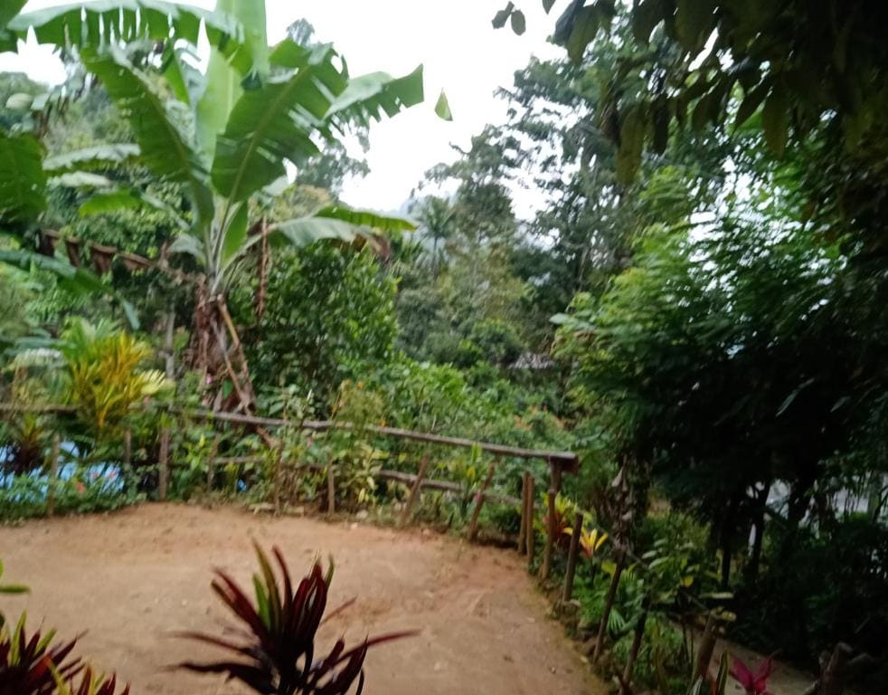 Littleadams View - Tampilan 5
