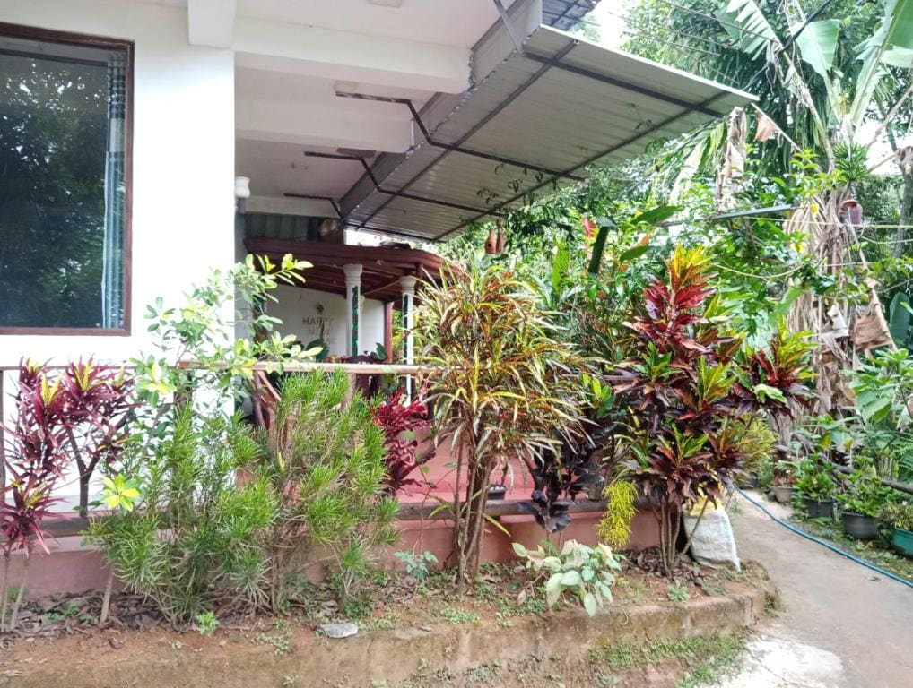 Littleadams View - Tampilan utama