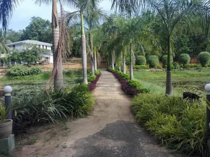 Madikale Resort - View 6