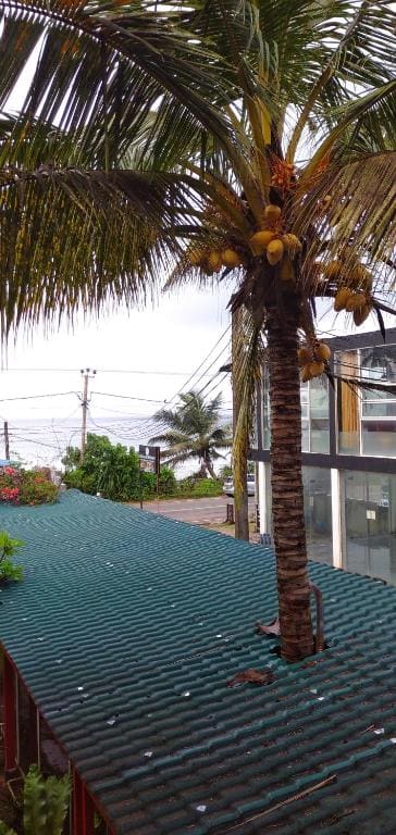 Mare Blu - View 4