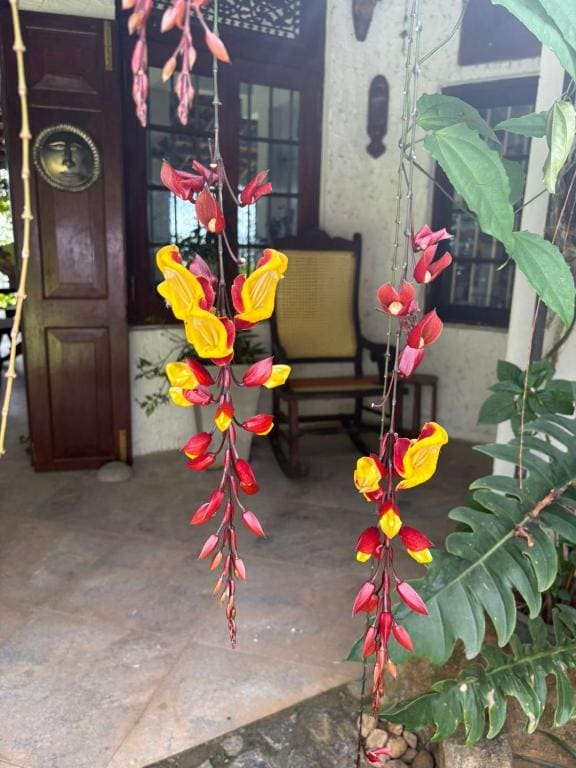 Namadi heights Bungalow - العرض الرئيسي