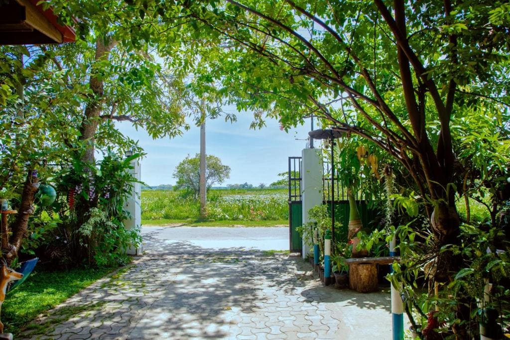 New Cormorant Lake Resort & Yala Safari Place — главное фото