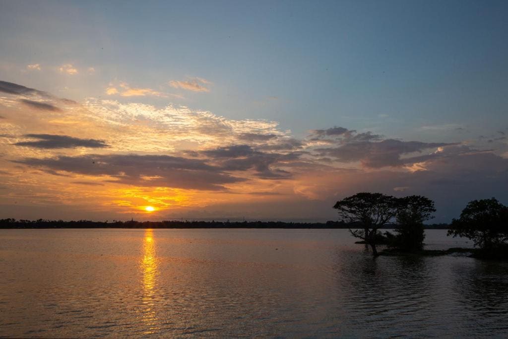 Olu villa Resort - View 7
