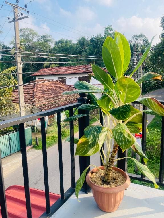 Pathum Guest House Midigama - Main view