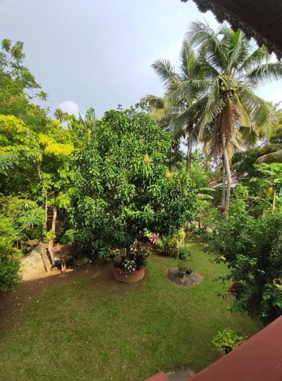 Ranmal Holiday Inn - View 4