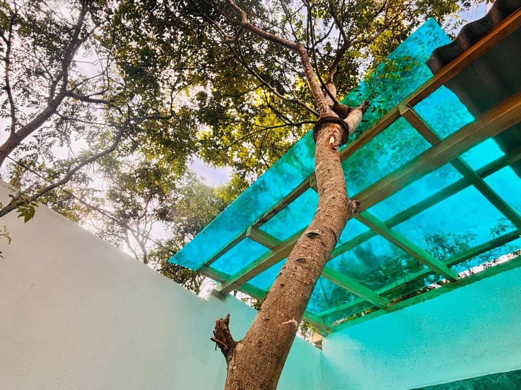 Ryo hostel - View 2