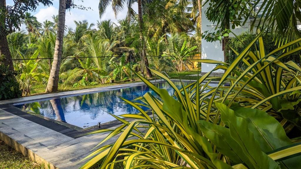 Senki Villa - Galle - View 3