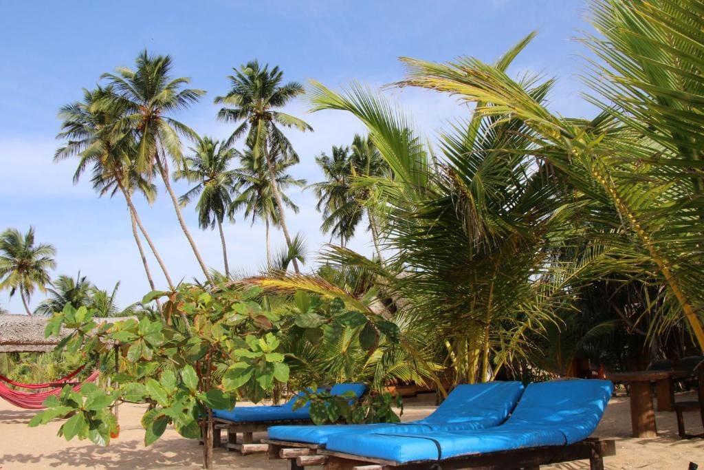 Shiva's Beach Cabanas - View 5
