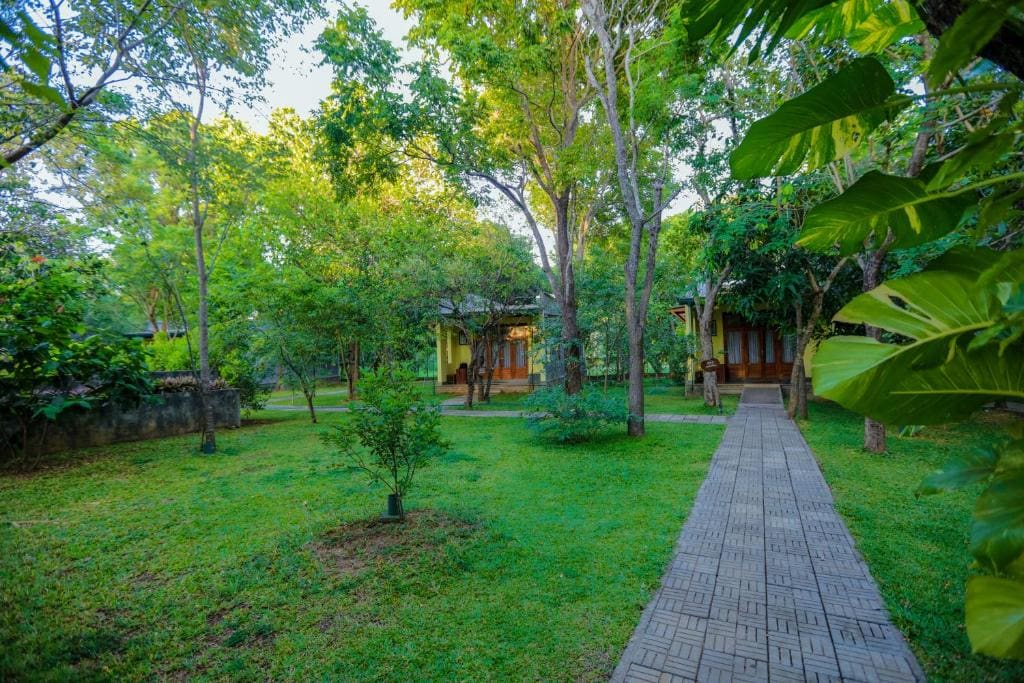 Sigiri Asna Nature Resort - Main view