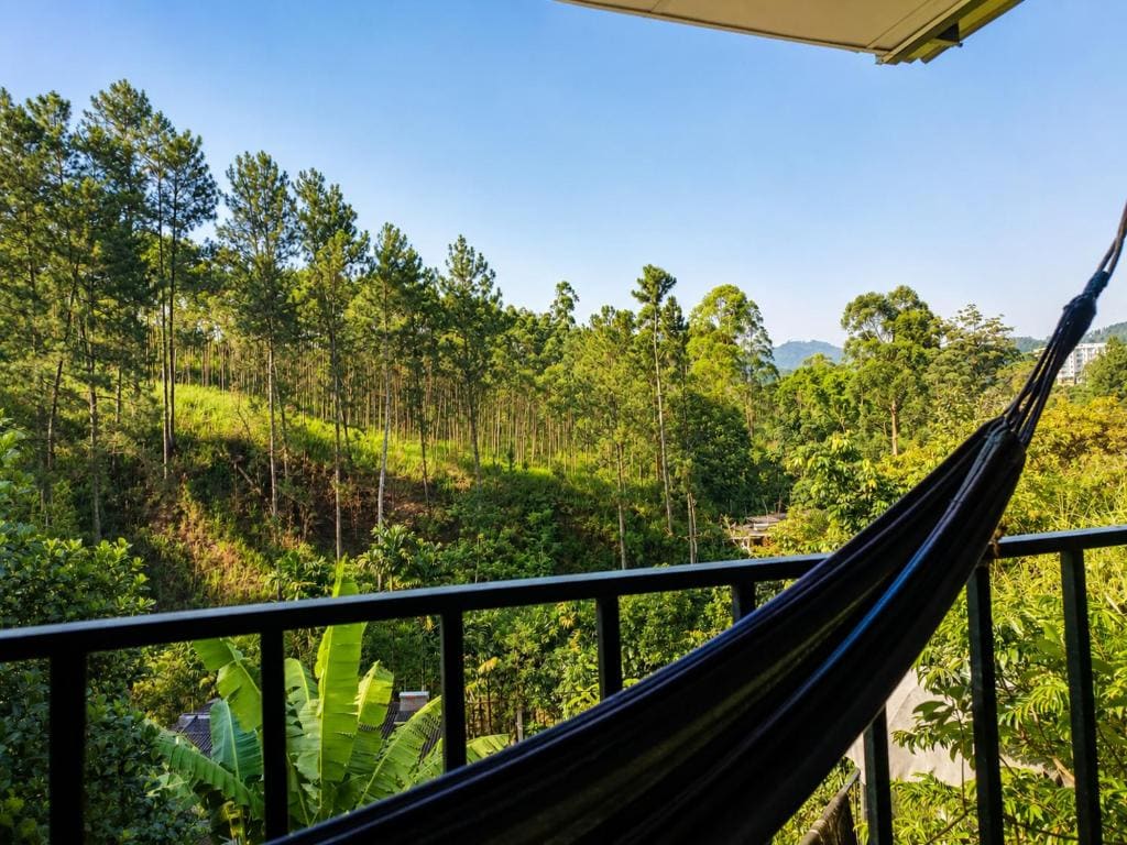 Mount Crest - Ella - View 7