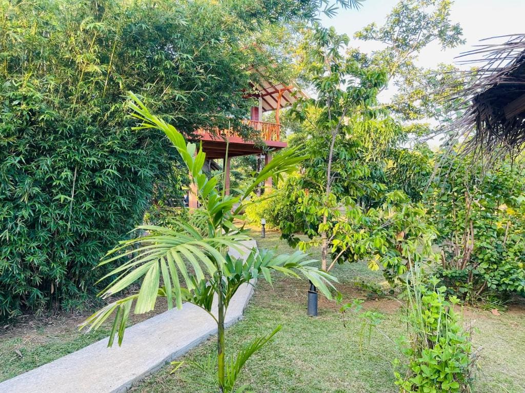 Sungreen Cottage Sigiriya - View 5