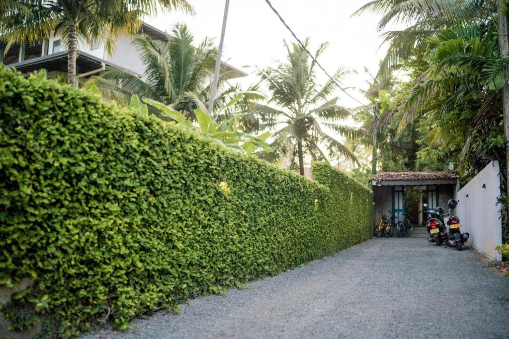 Bienvenido Cozy Madiha - Main view