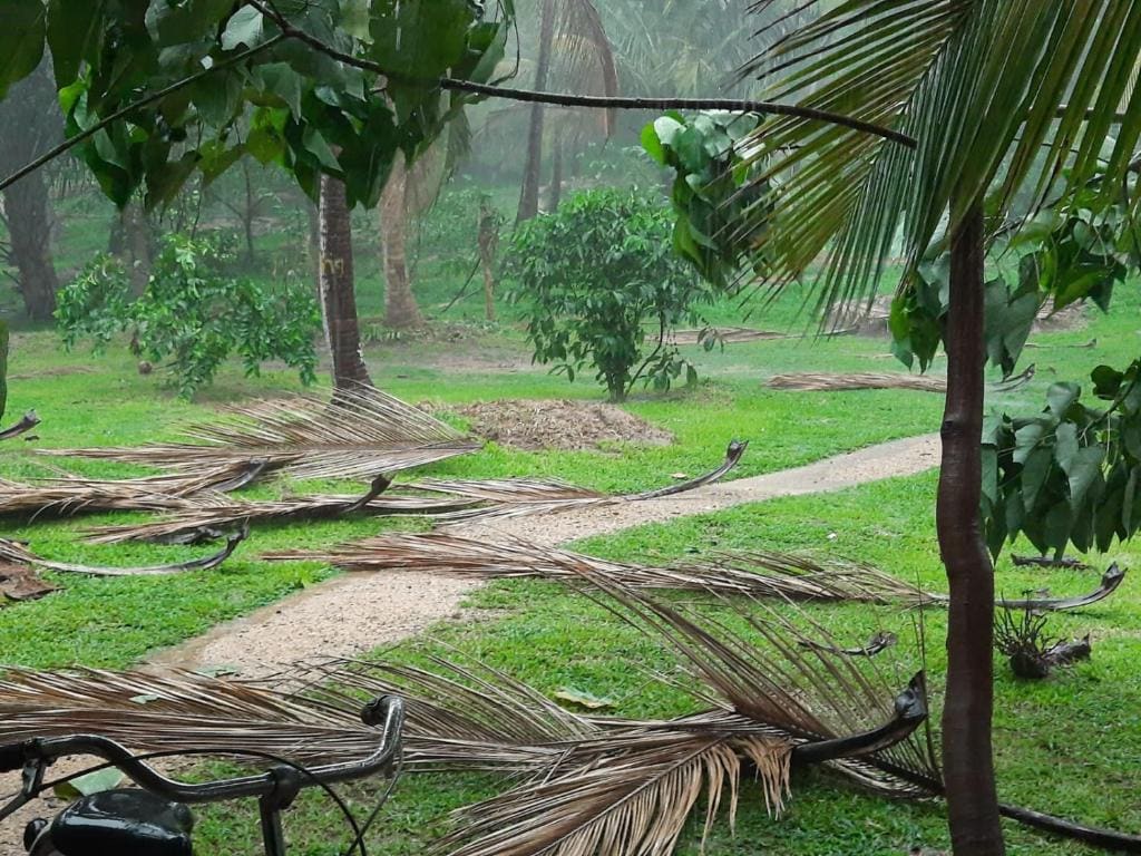 The Hideaway - View 4
