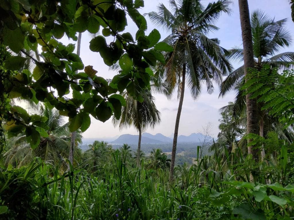 The Hideaway - Main view