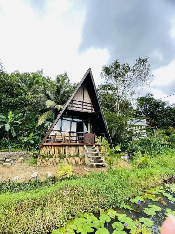 The wilds Sinharaja - Main view