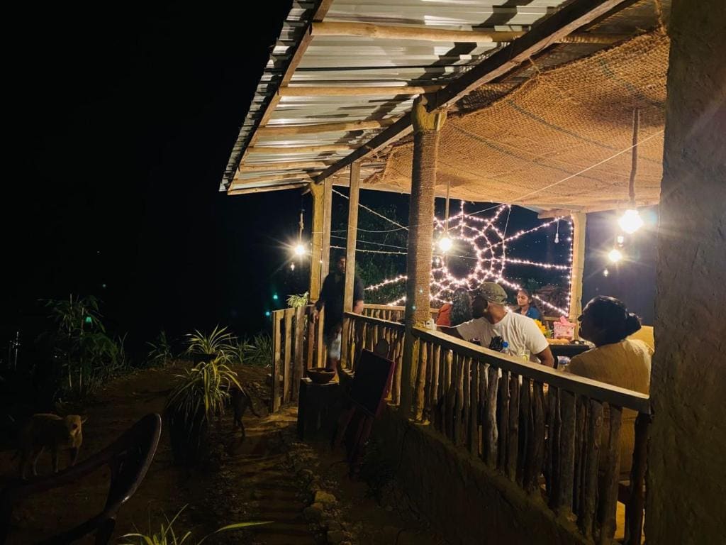 The wilds Sinharaja - View 3