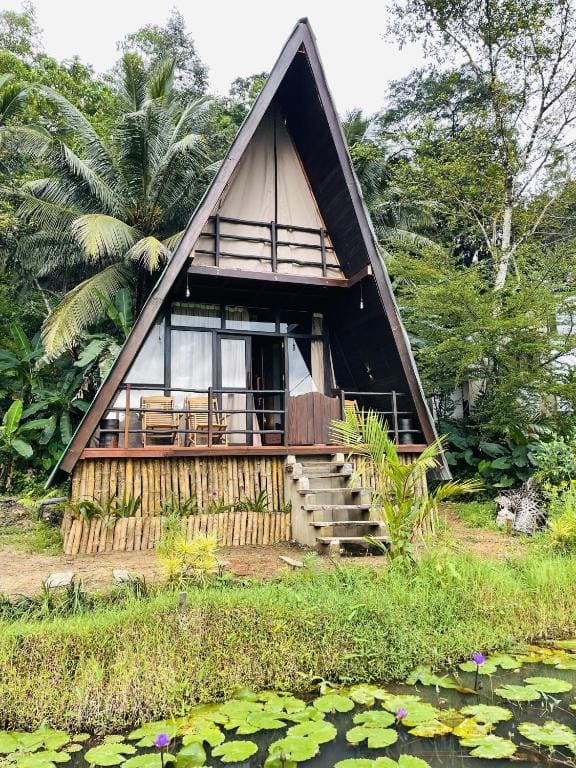 The wilds Sinharaja - View 6